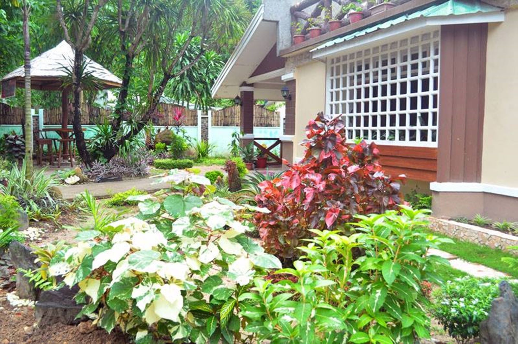 Peak House Garden Pension El Nido Zewnętrze zdjęcie
